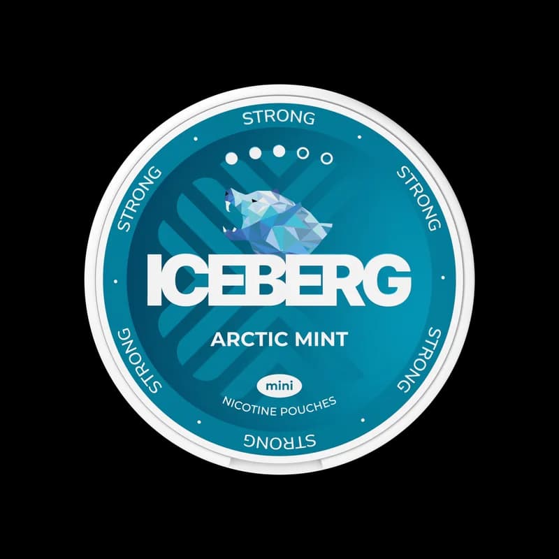 ICEBERG Strong Arctic Mint Mini 10g